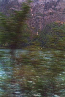 The Hills Have Eyes